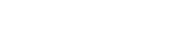 VIN'C CARS